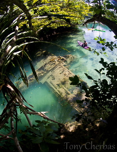 Japanese Sea Plane Wreck, Rock Islands, Palau by Tony Cherbas 
